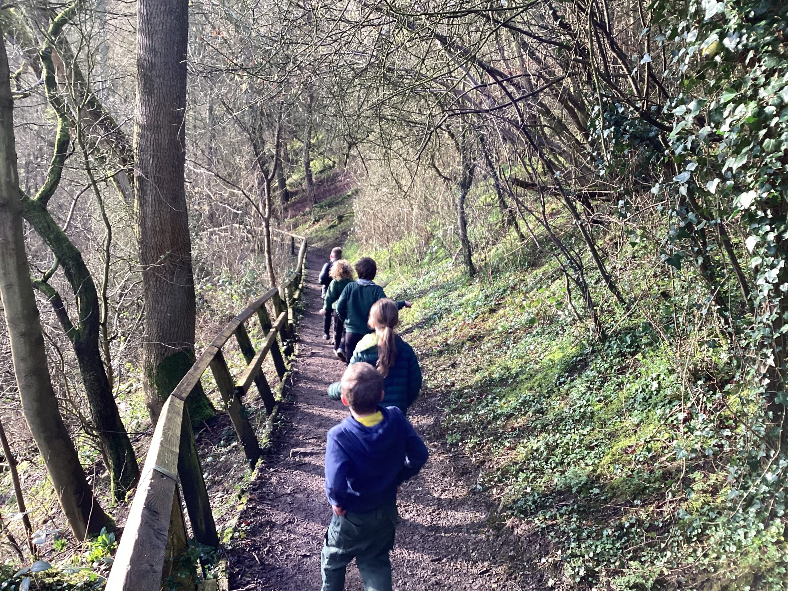 IMG_0241-1-scaled (1)